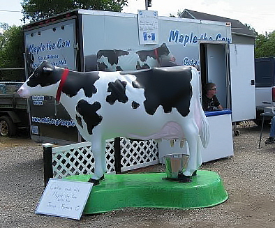 Picture Of Maple The Cow & Trailer